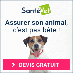 assurance animaux belgique
